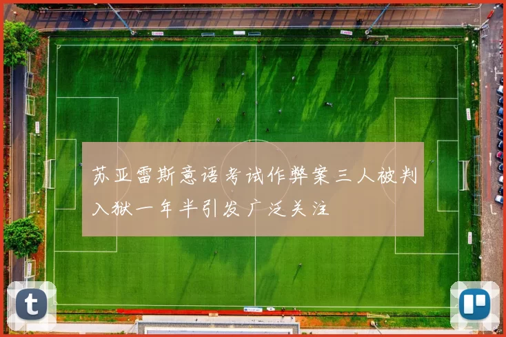 苏亚雷斯意语考试作弊案三人被判入狱一年半引发广泛关注