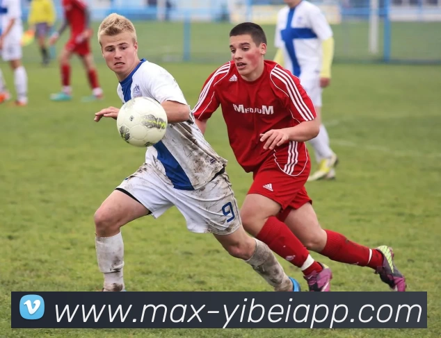 易倍体育APP 封面图